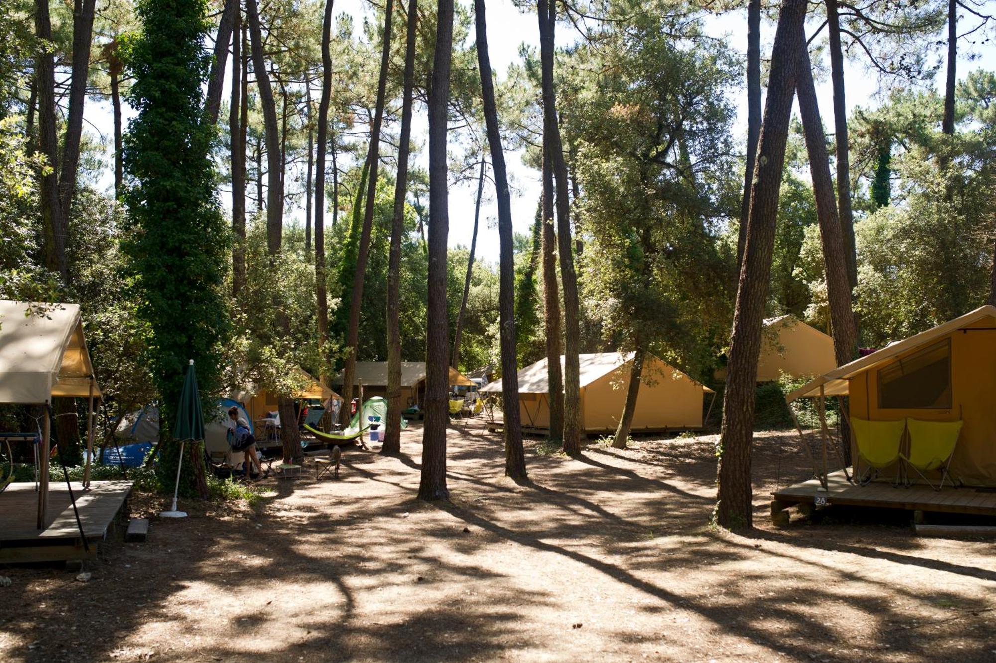 Huttopia Oléron Les Chênes Verts Dolus d'Oléron Camera foto